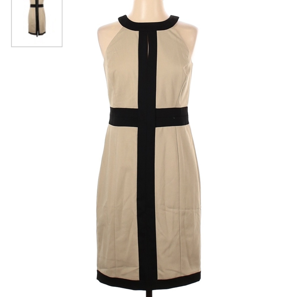 Ann Taylor Dress Tan & Black